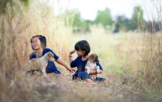 Occupational Therapy, Speech Therapy, Sensory Diet, Special Needs Intensive Intervention, Early Intervention, Tips for Parents, Inclusion